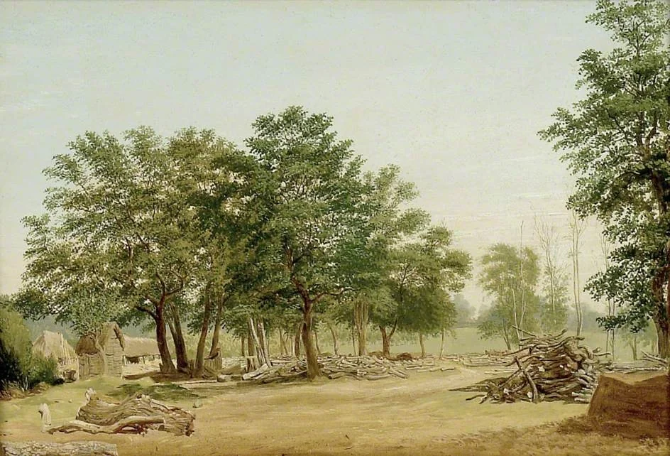 View in Bagley Wood, near Oxford, by William Turner, unspecified, 1835