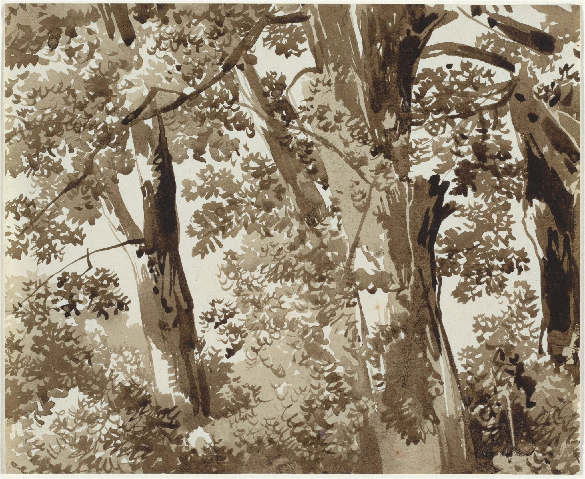 Trees with Dense Undergrowth, by Franz Innocenz Josef Kobell, ink, 1810