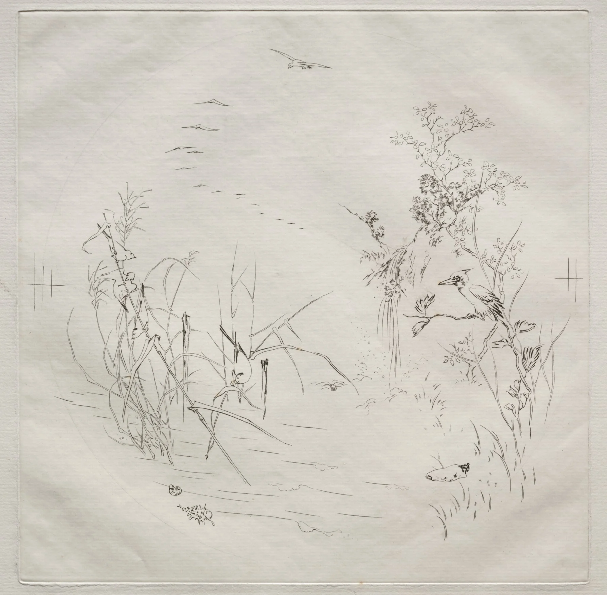 Parisian Service (Haviland service): Calm (no. 3), by Félix Bracquemond, 1875
