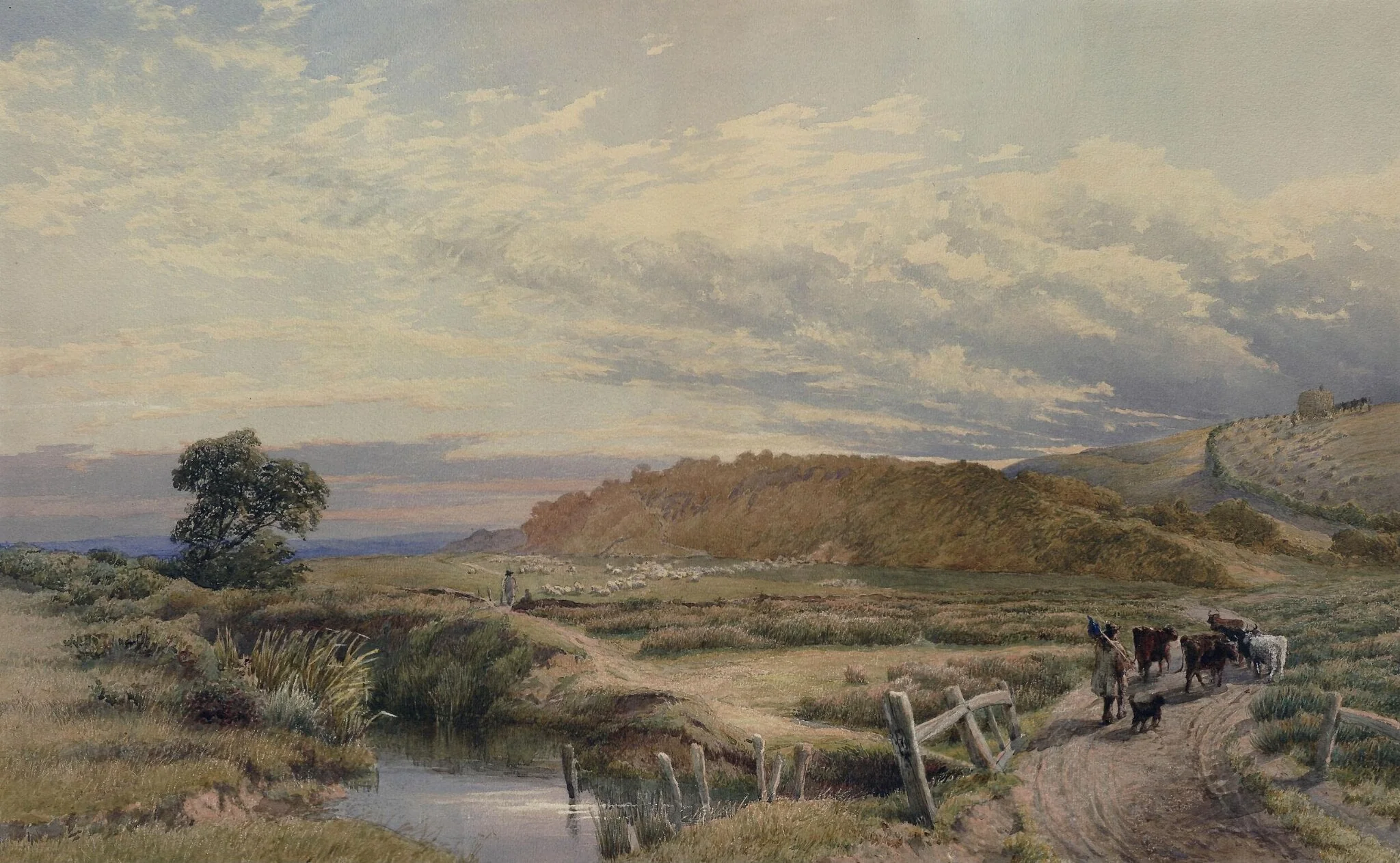 On the Hill at St. Leonards, by Davidson, 1850
