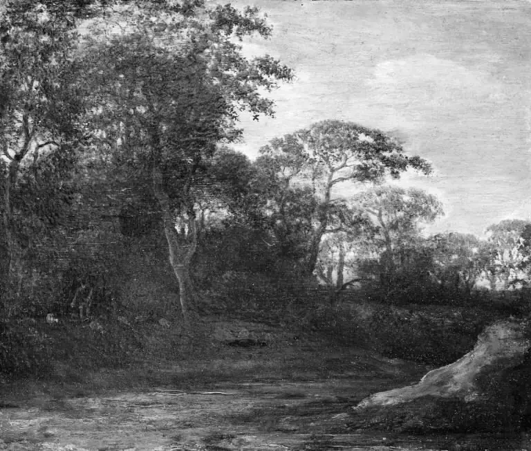 The Edge of the Wood