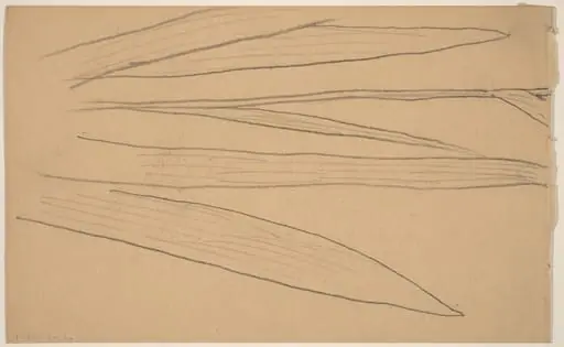 Study of a Flower [verso]