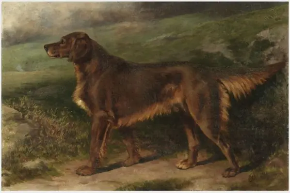 Garryowen (1876-1887), Champion Irish Red Setter