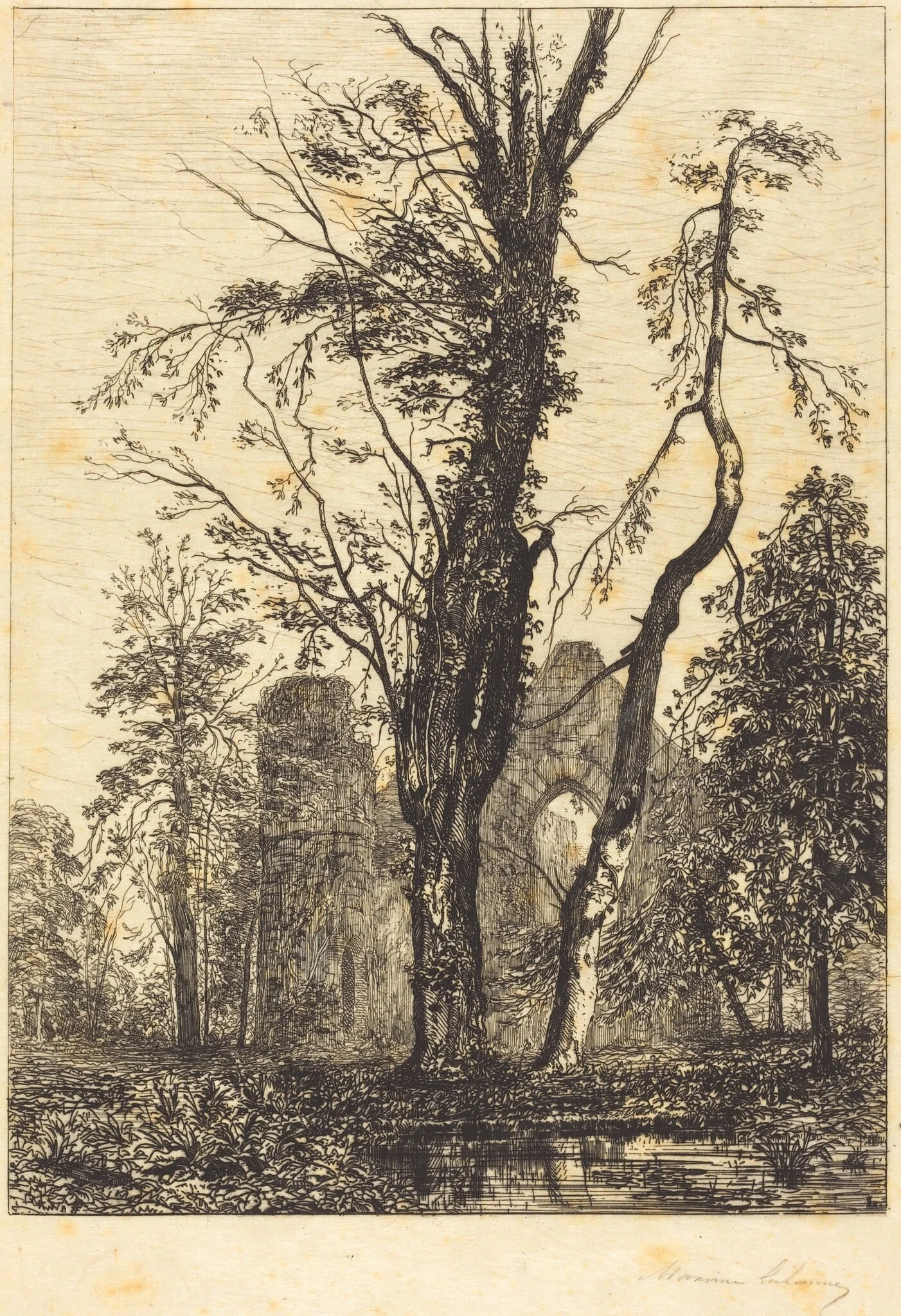 Dans un parc