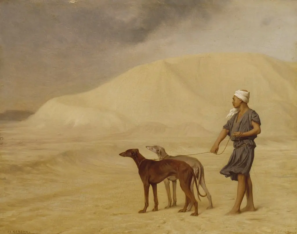On the Desert