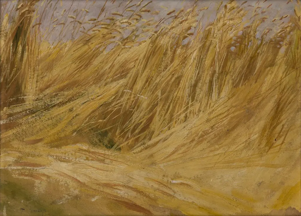 Corn Field (Study)