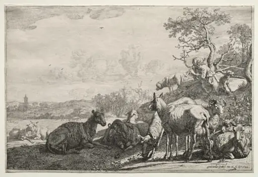 The Shepherd