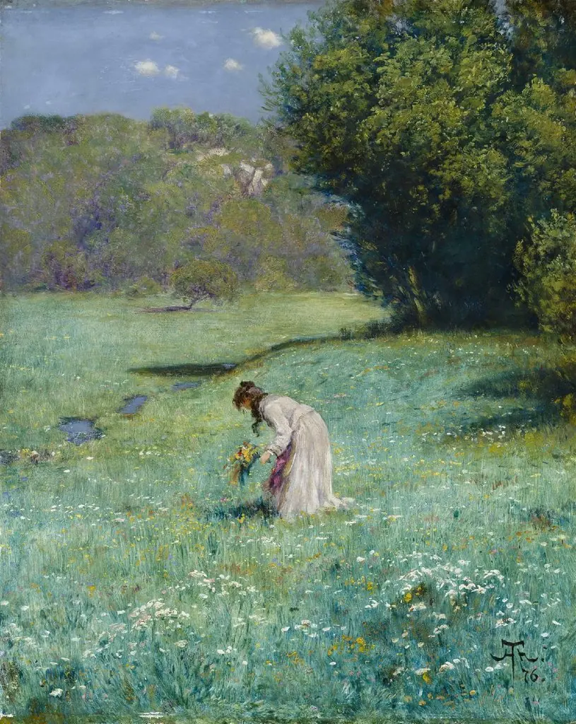 Forest meadow