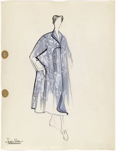 'Train bleu'