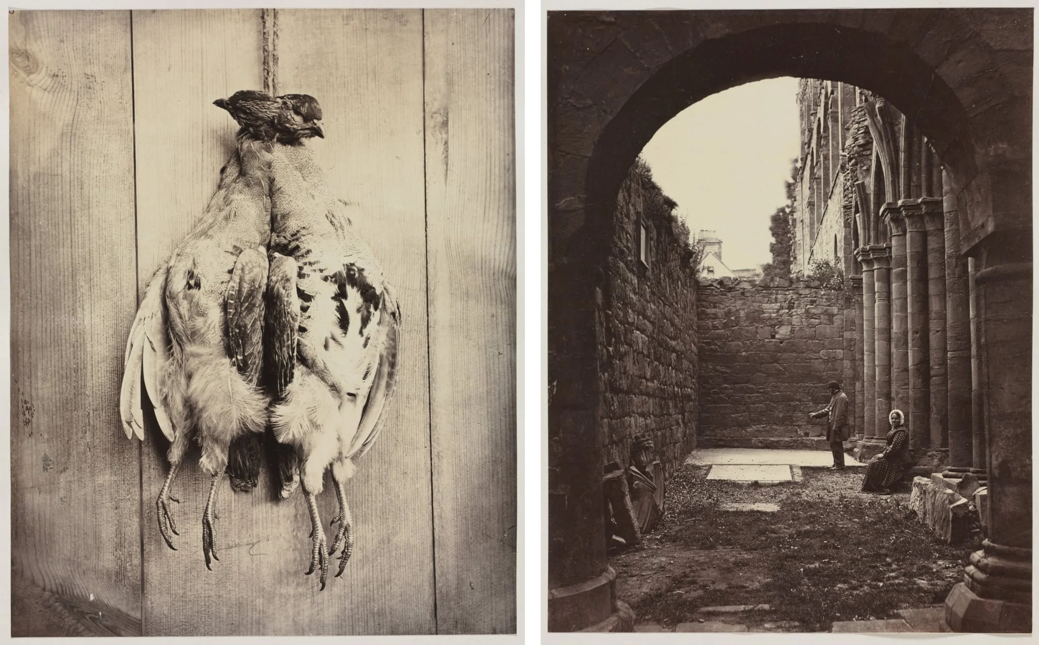 Partridges (recto); L.D. Campbell's Tomb (verso), by Captain N. Baily, 1861