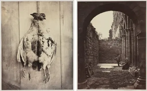 Partridges (recto); L.D. Campbell's Tomb (verso)