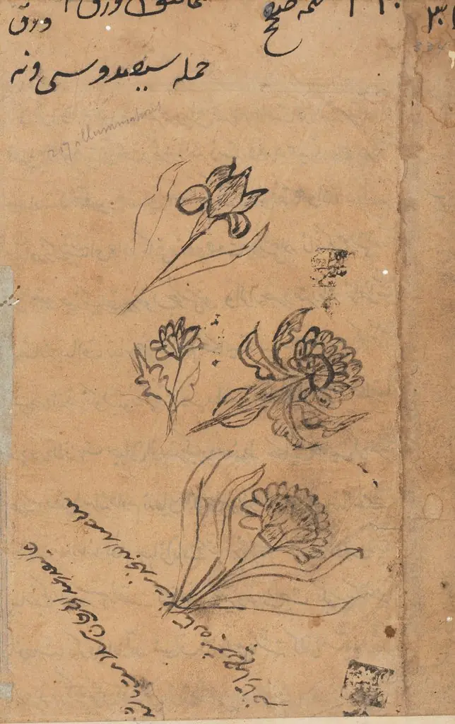 Page from Tales of a Parrot (Tuti-nama): text page