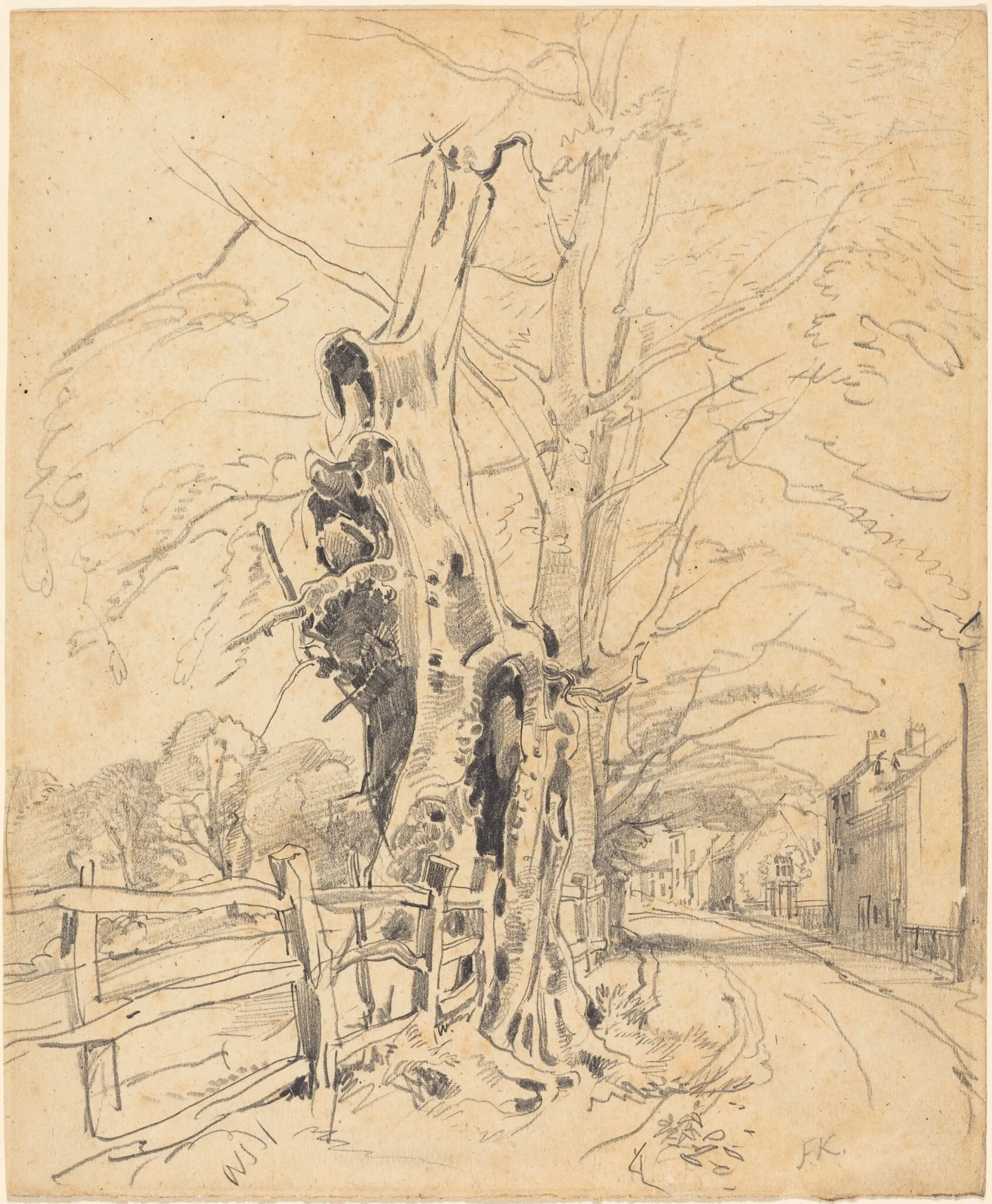 Trees by a Rail Fence, by John Frederick Kensett, graphite, 1854