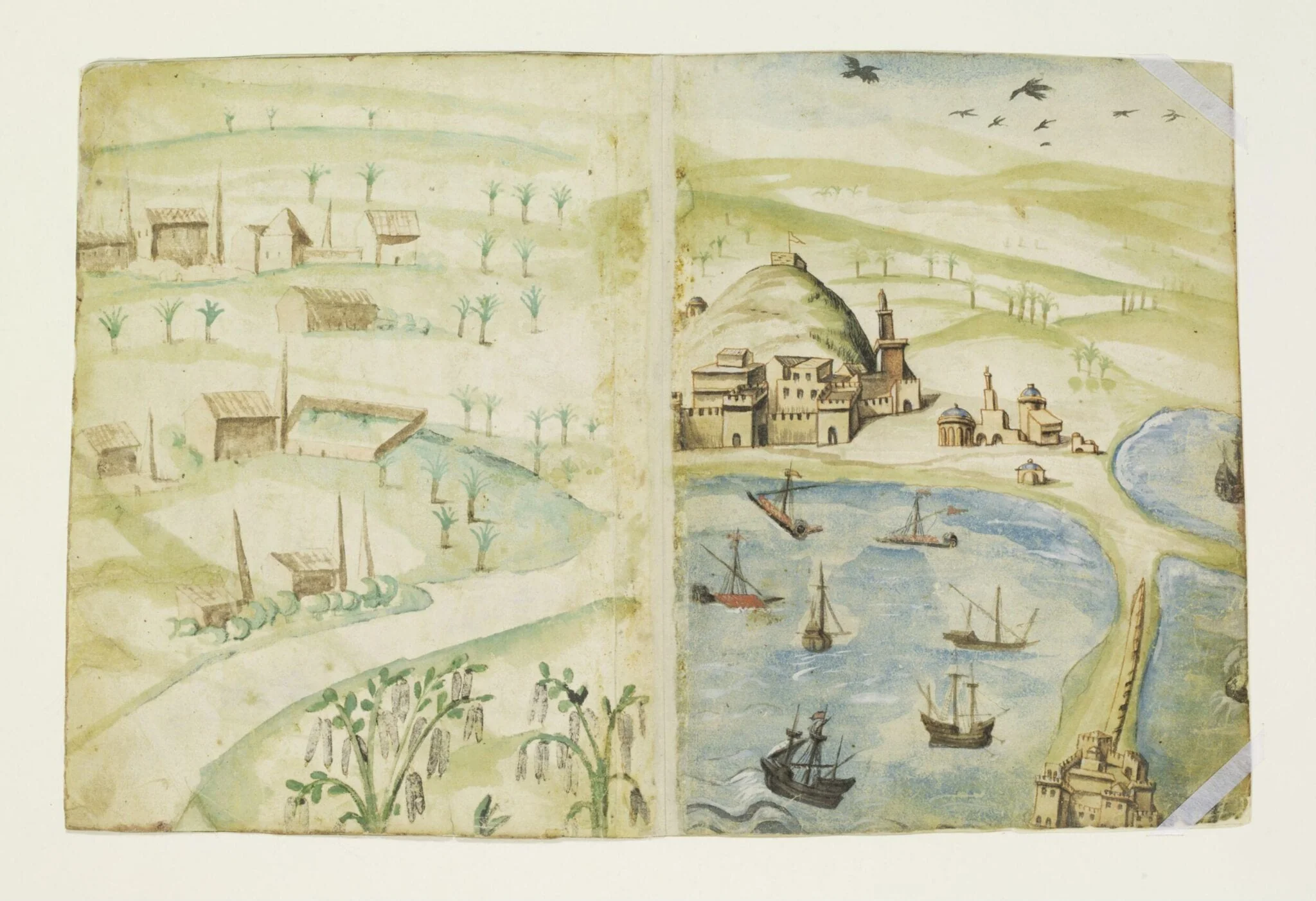 Untitled, by Unknown, watercolor, 1515