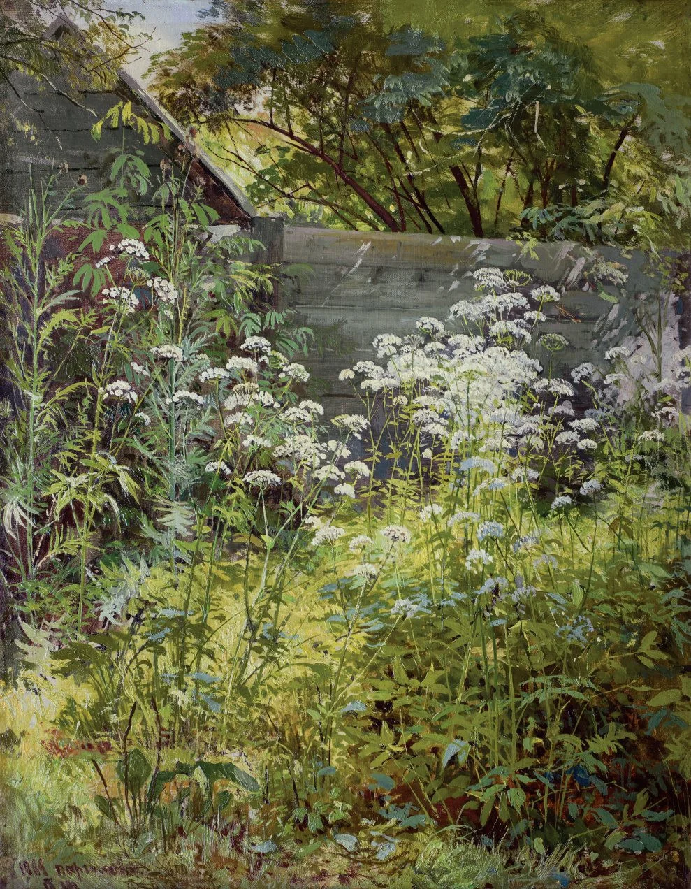 Corner Overgrown Garden. Aegopodium-grass