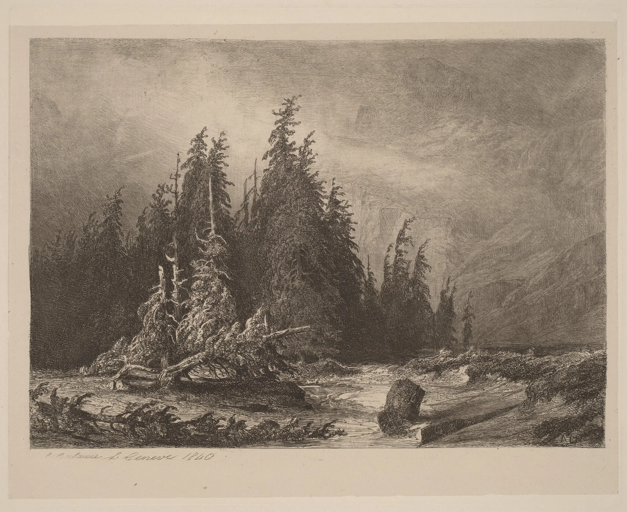 Mountain PInes, by Alexandre Calame, ink, 1840