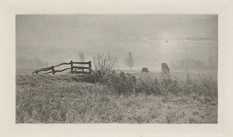 A Winter's Sunrise, by Peter Henry Emerson, 1891