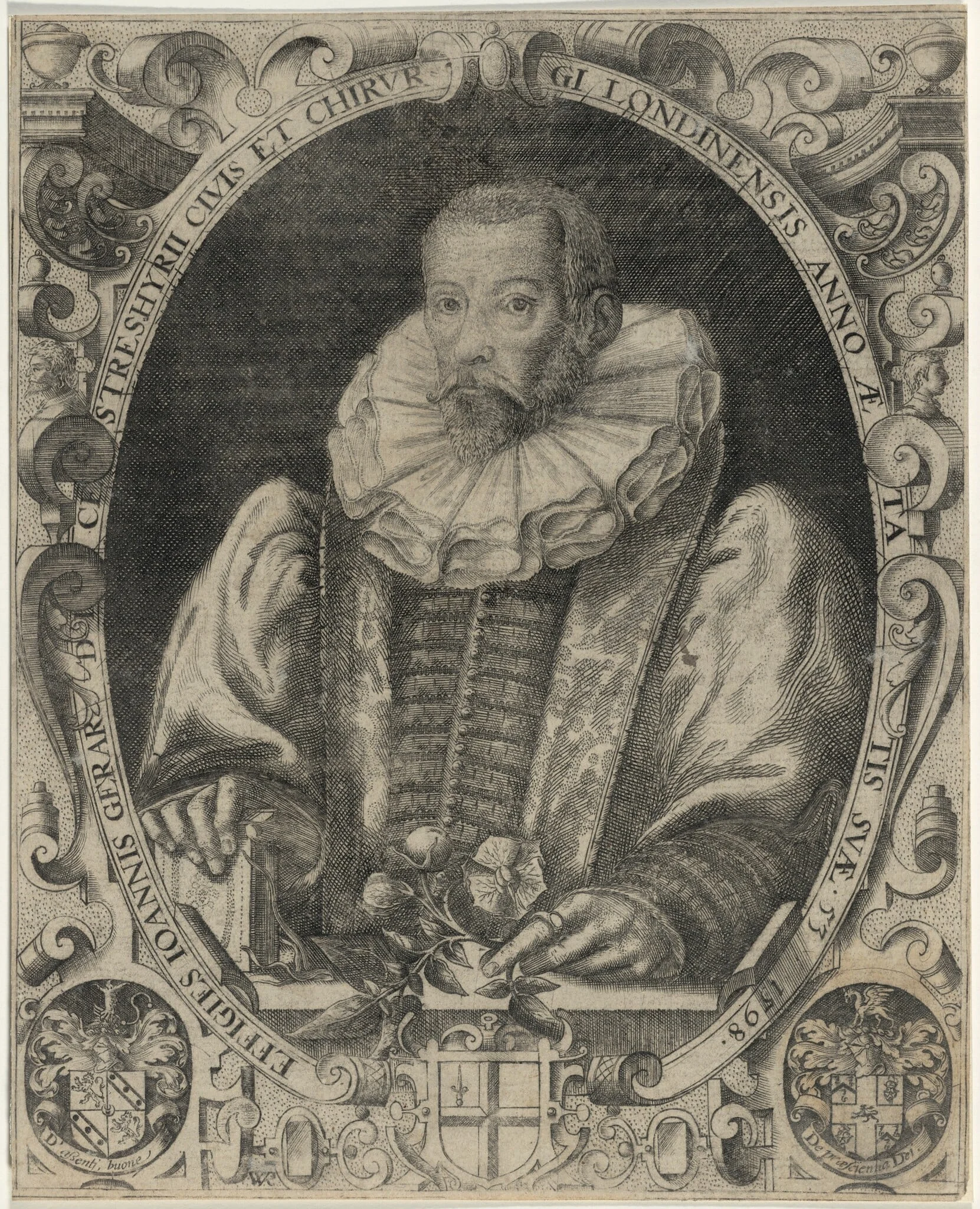 John Gerard, Herbalist, by William Rogers, ink, 1597