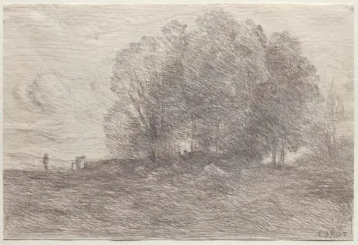 Group of Trees