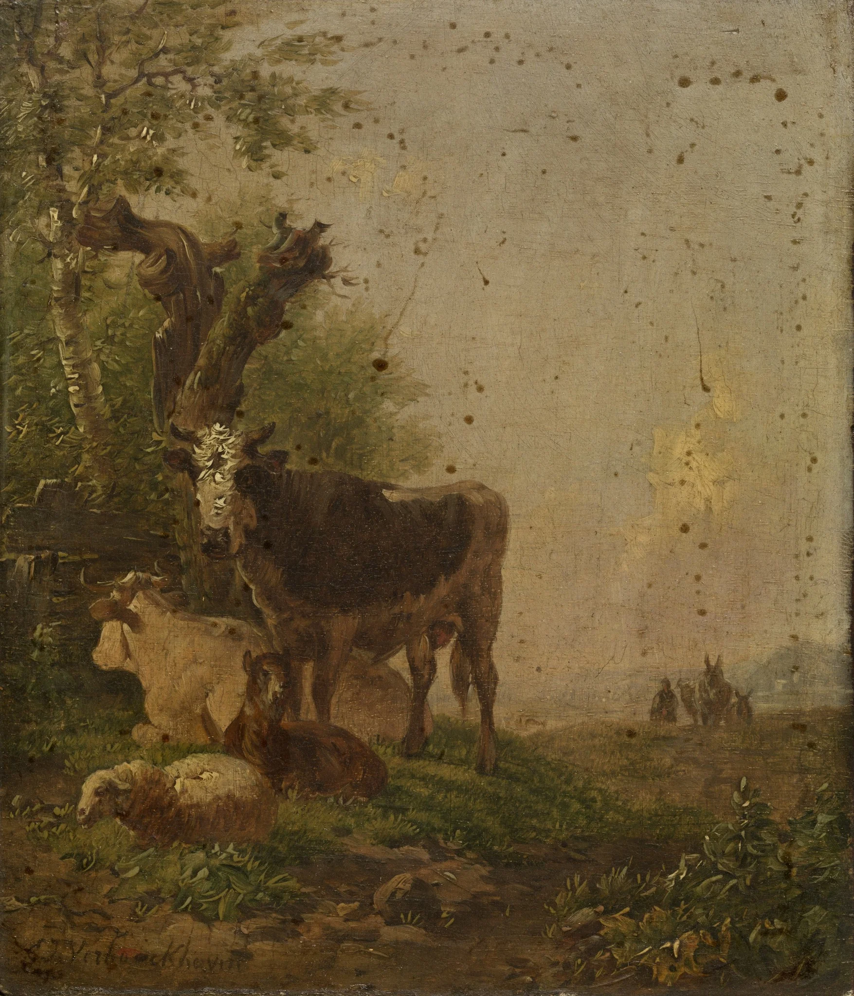 Cows and Sheep
