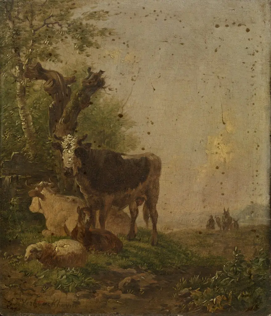 Cows and Sheep