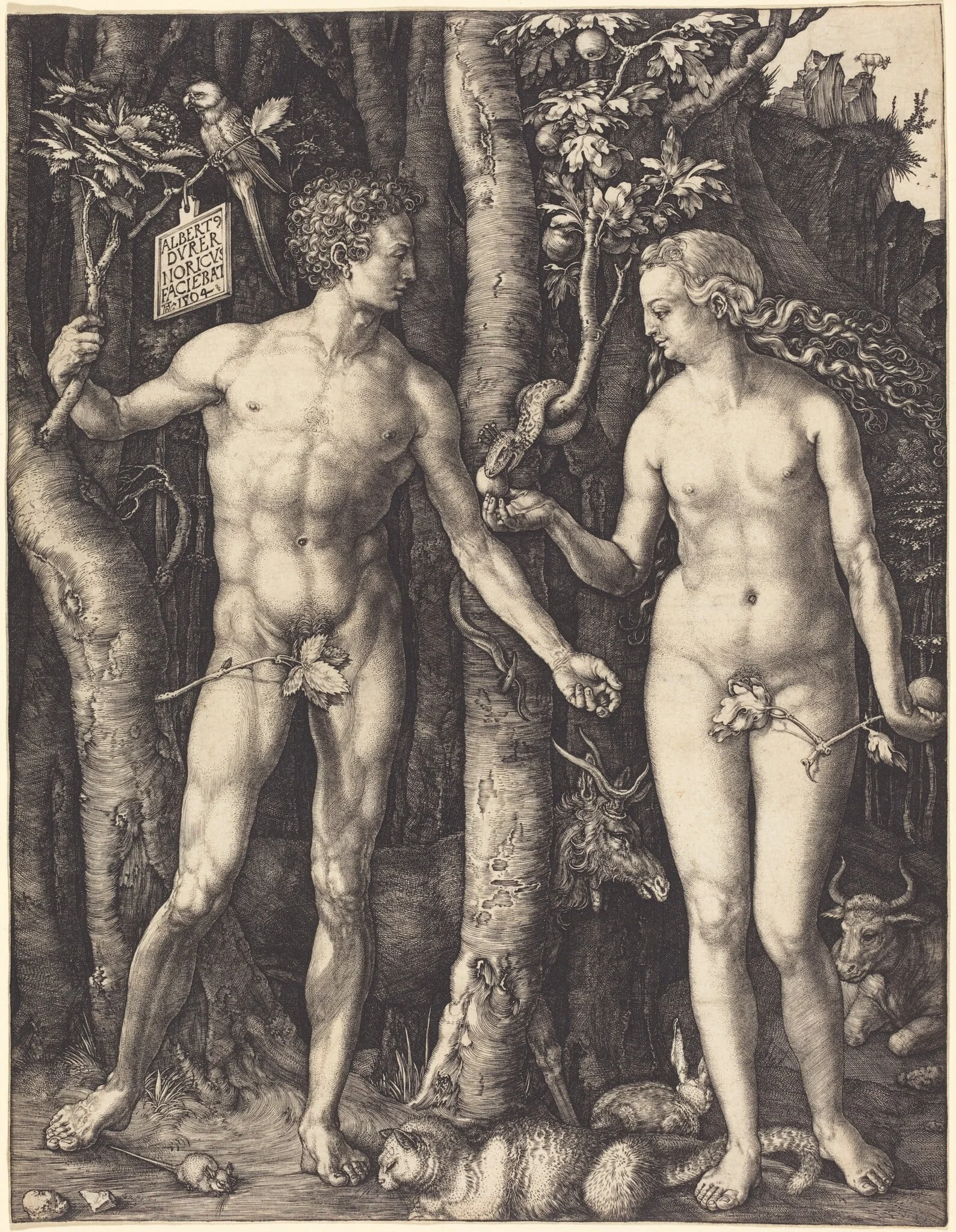 Adam and Eve, by Albrecht Dürer, ink, 1504