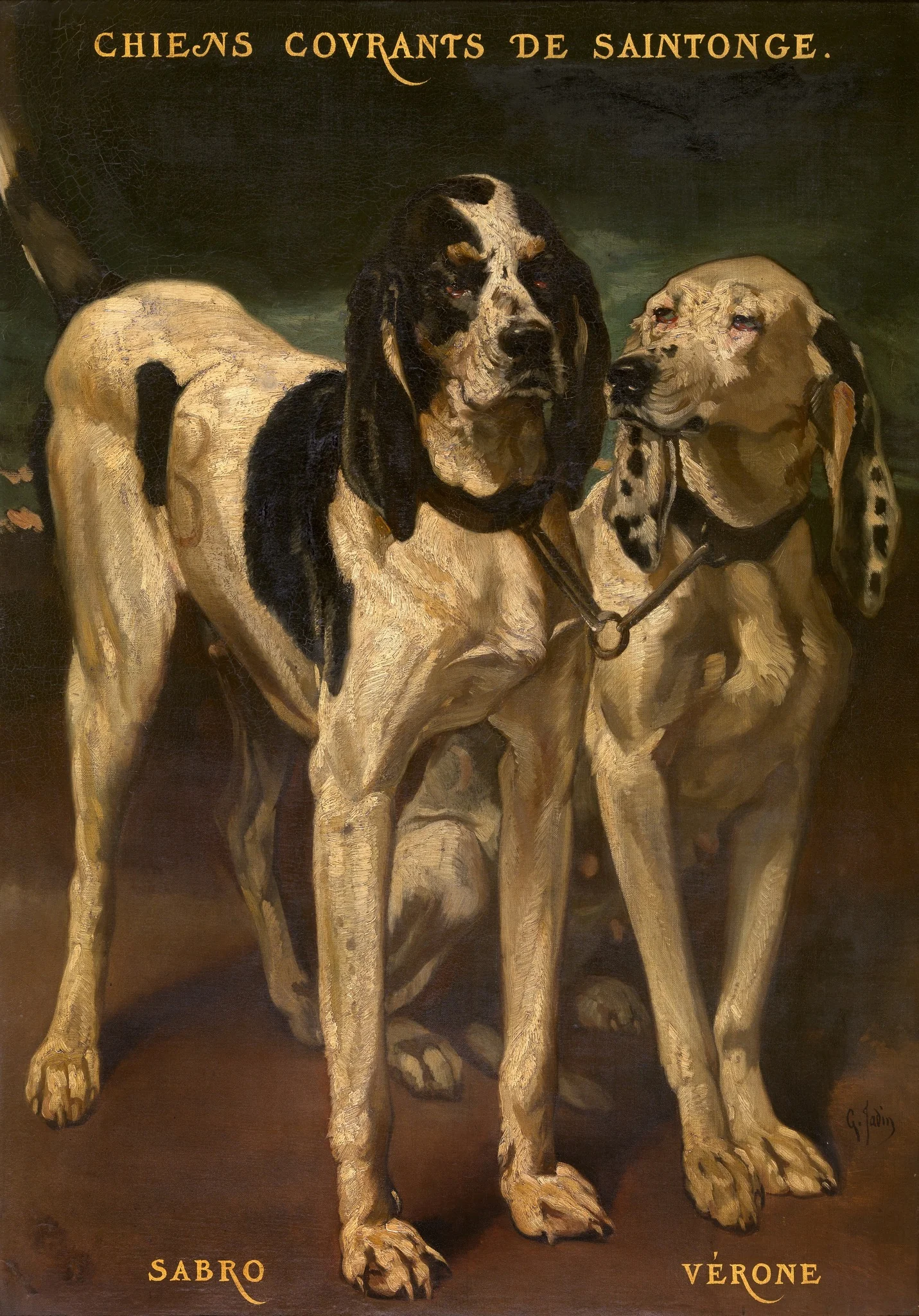 Two Dogs