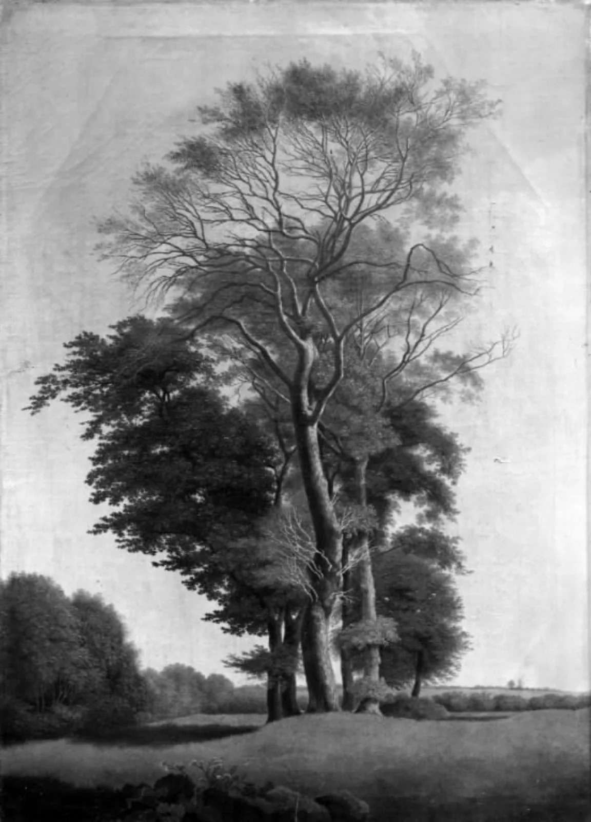 Landscape with Trees