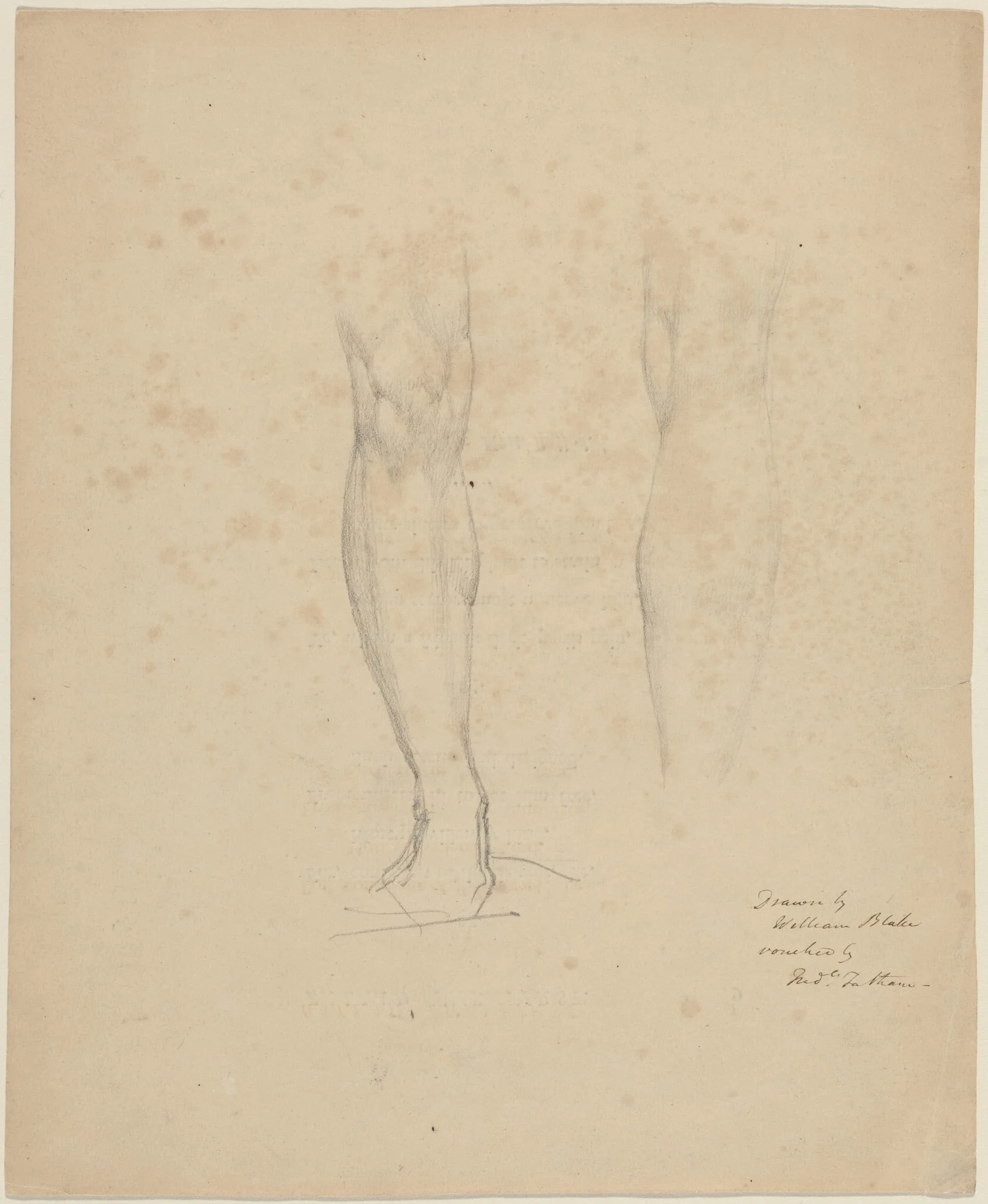 Two Legs