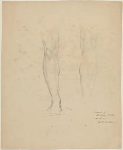 Two Legs