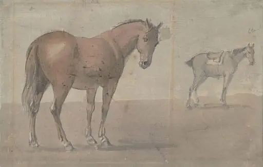 Horses