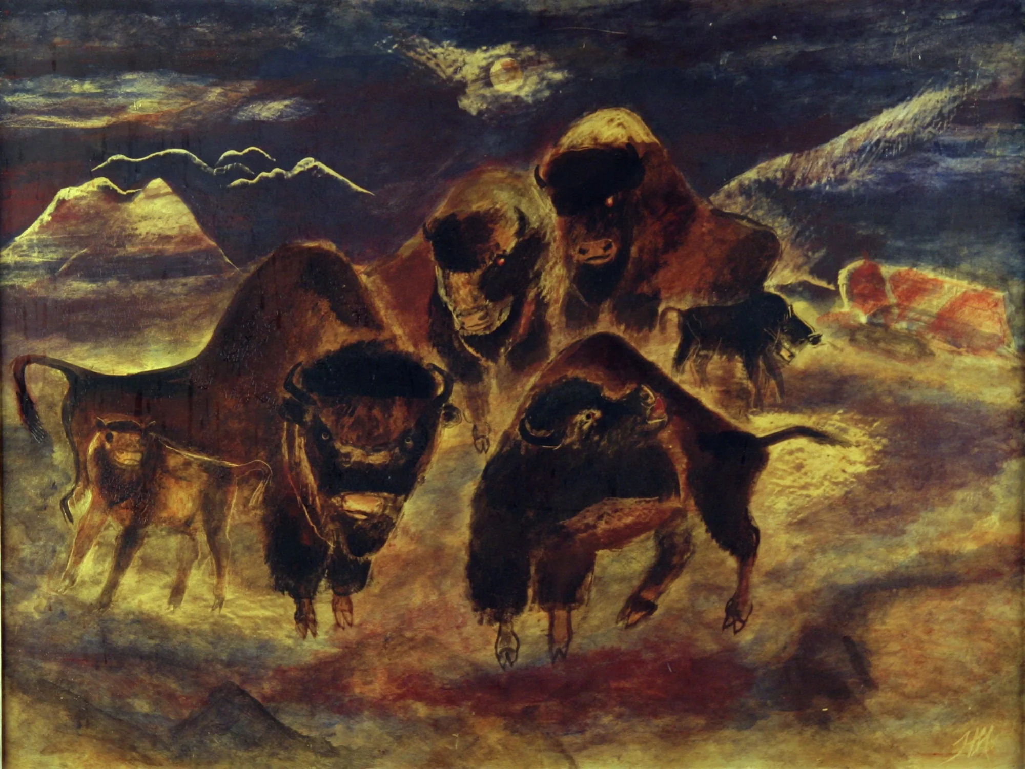 Buffalo at Night