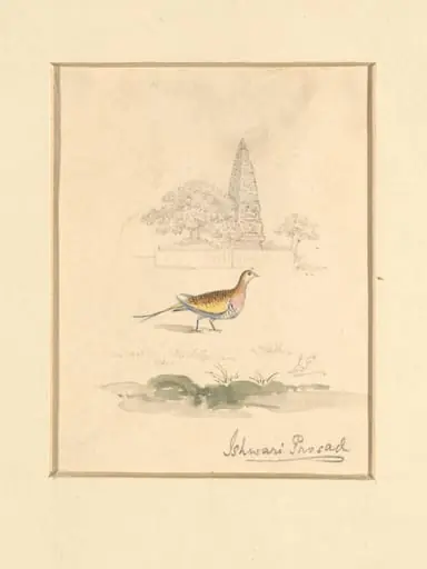 Bird and Temple