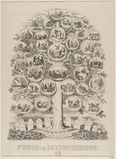 Fruits of Intemperance