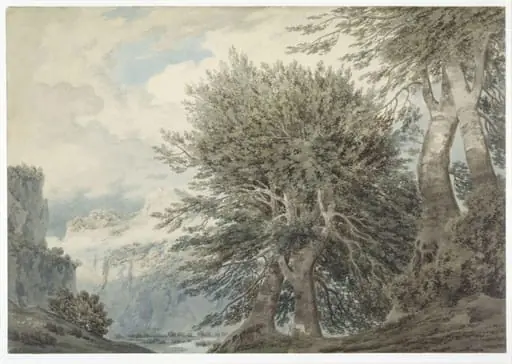 Mountainous landscape with beech trees