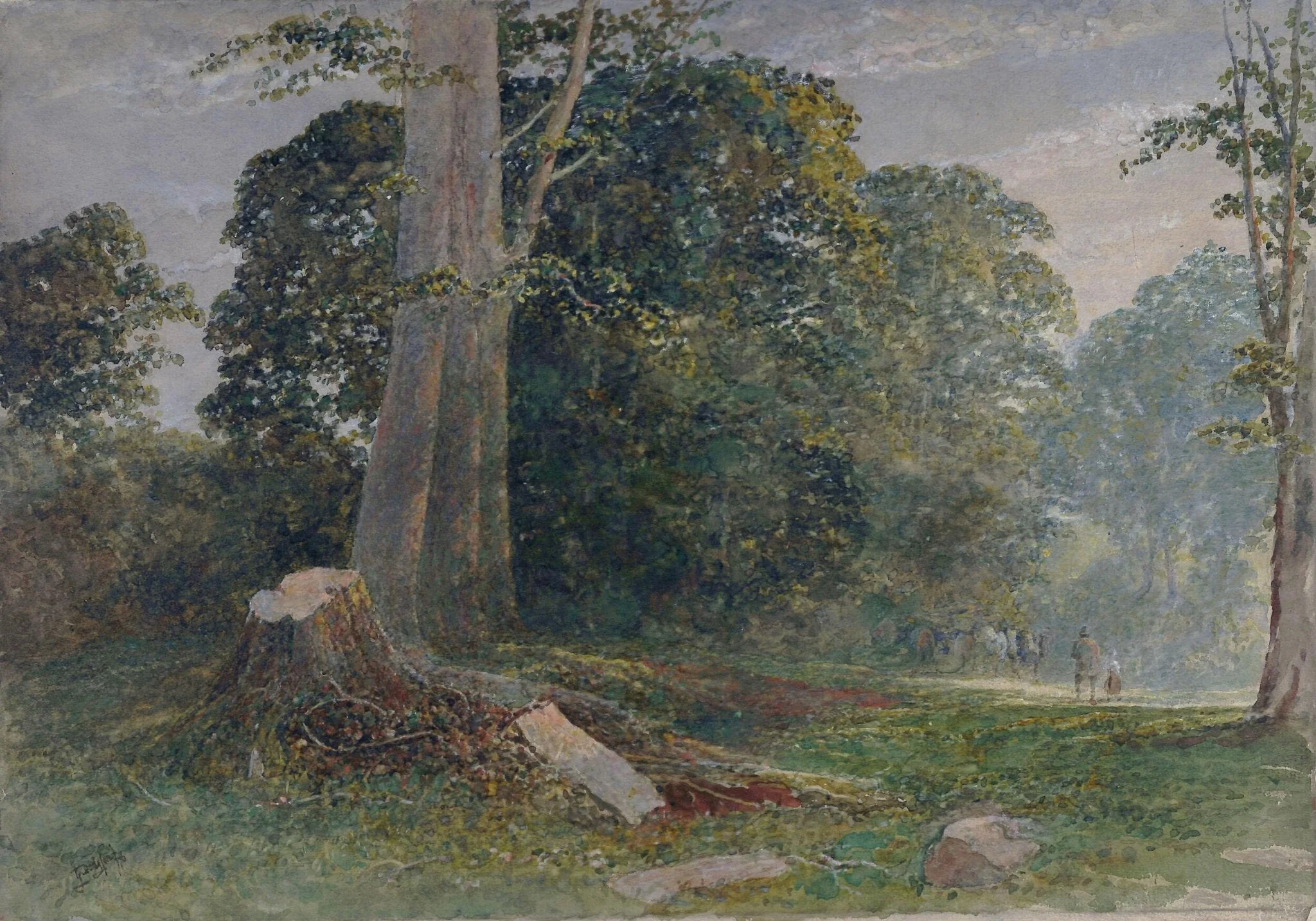Knole Park, near Sevenoaks, Kent: Evening