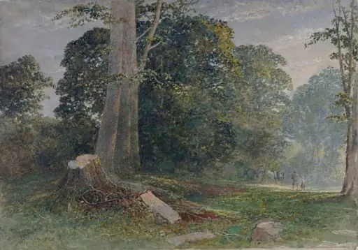 Knole Park, near Sevenoaks, Kent: Evening