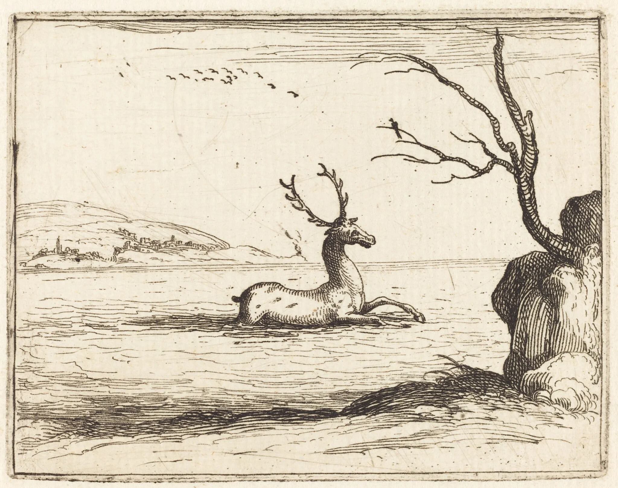 Stag in the Water, by Jacques Callot, ink, 1628