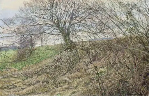Ridge and Ditch, Kent