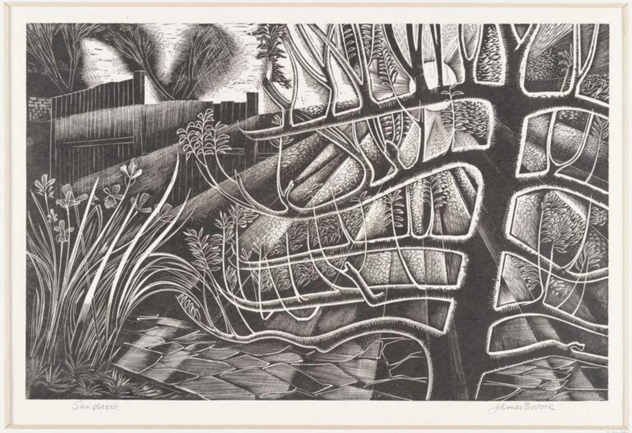 Sun Dazzle, by James Edward Bostock, 1962