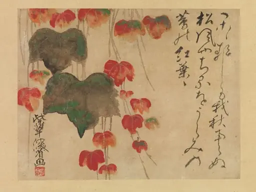 蔦紅葉図|Autumn Ivy