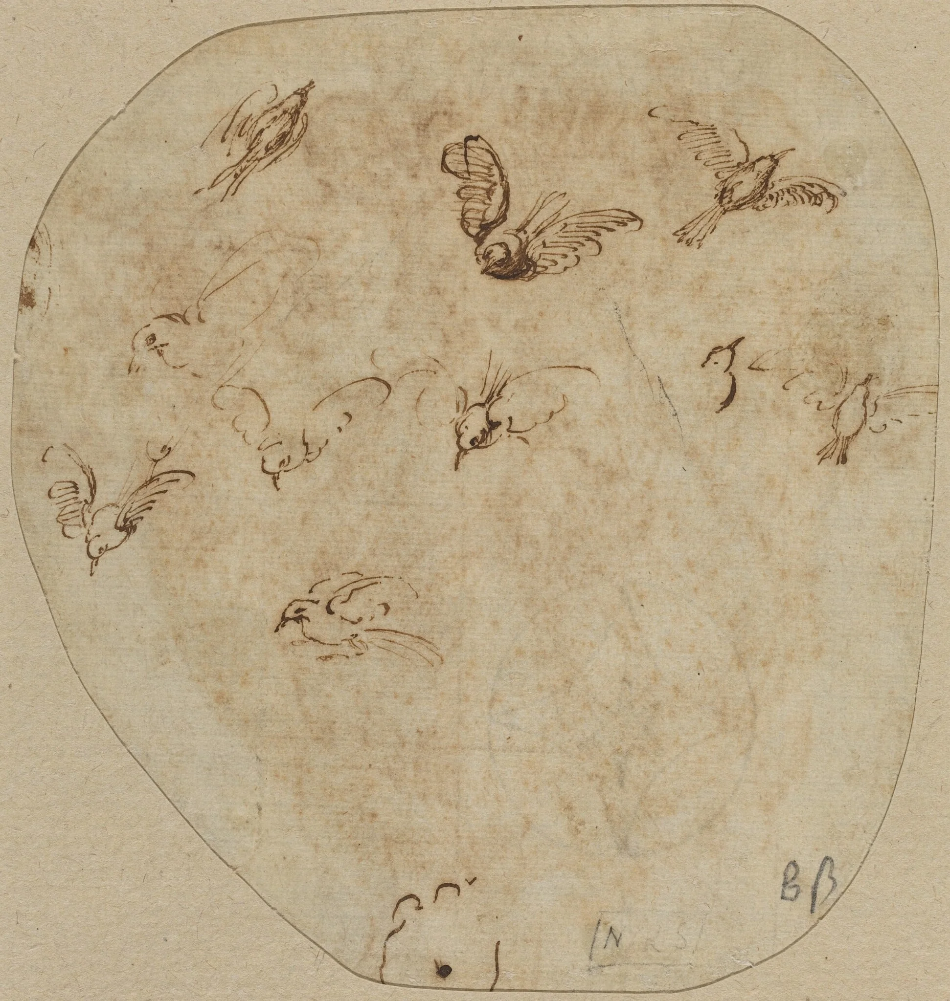 Birds in Flight [verso], by Girolamo Mazzola Bedoli, ink, 1534