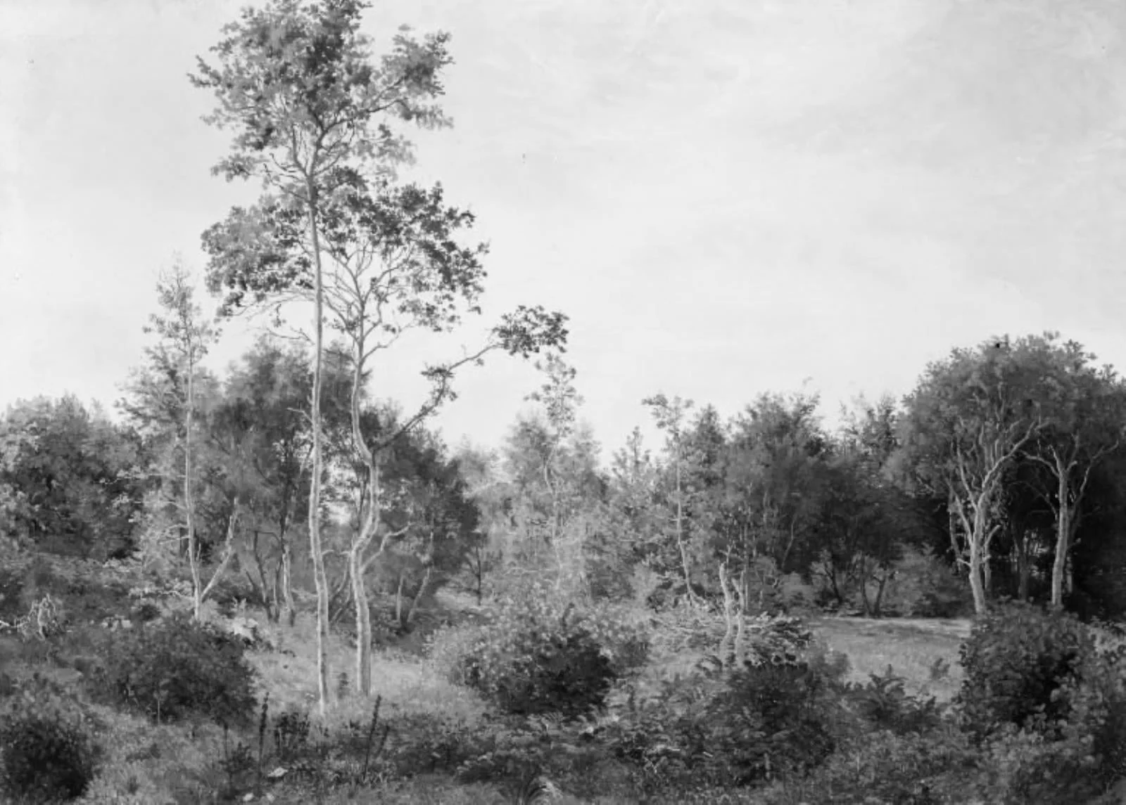 Lysning i Nordskoven ved Jægerspris, by Unknown artist, 1847