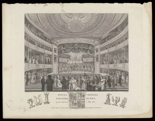 H Beard Print Collection