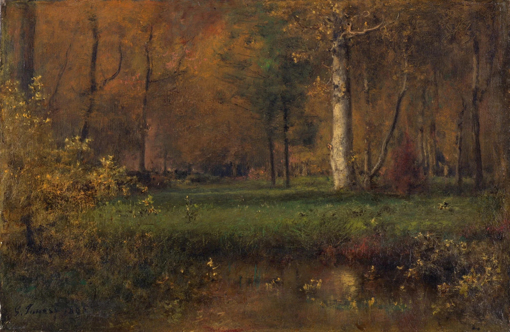 Landscape with Yellow Bush