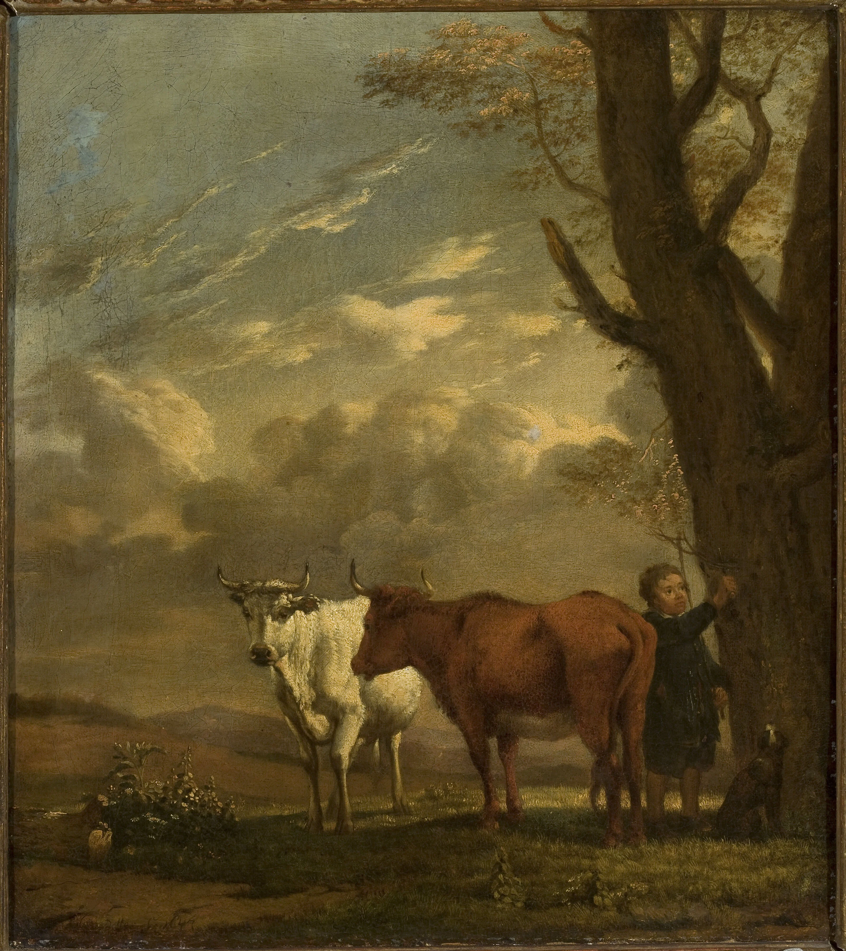 Cowherd