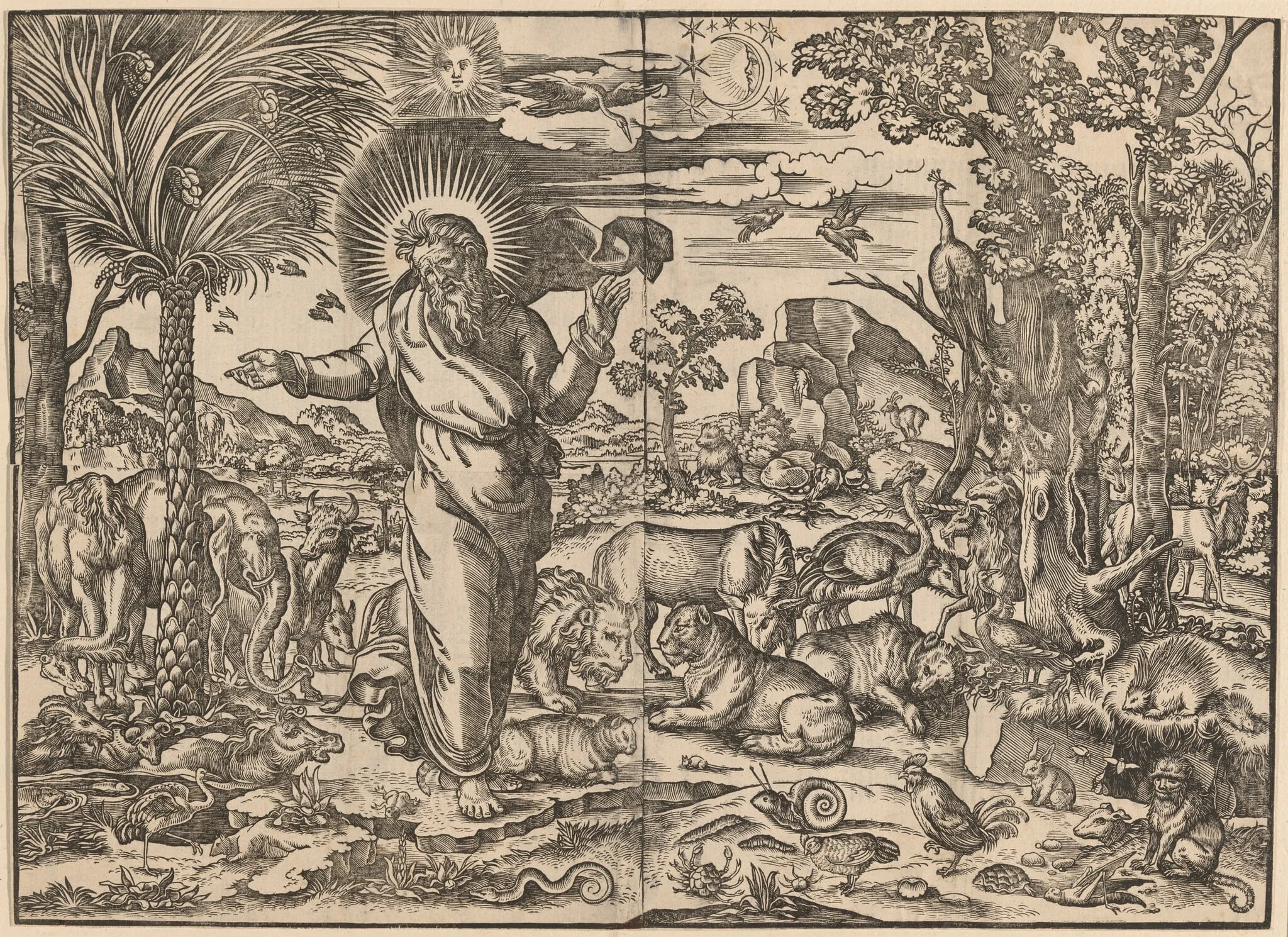 The Creation of the Animals, by Venetian 16th Century, ink, 1550