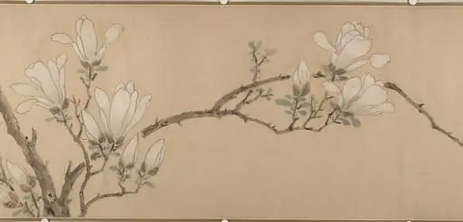 明  佚名（文徵明款）    玉蘭圖    卷|Magnolia