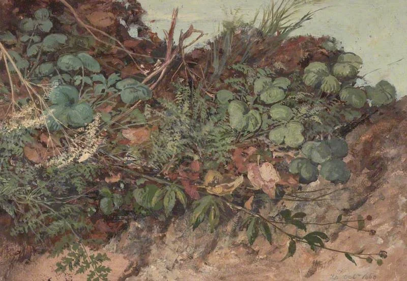 Study of Undergrowth, by William Bell Scott, unspecified, 1860