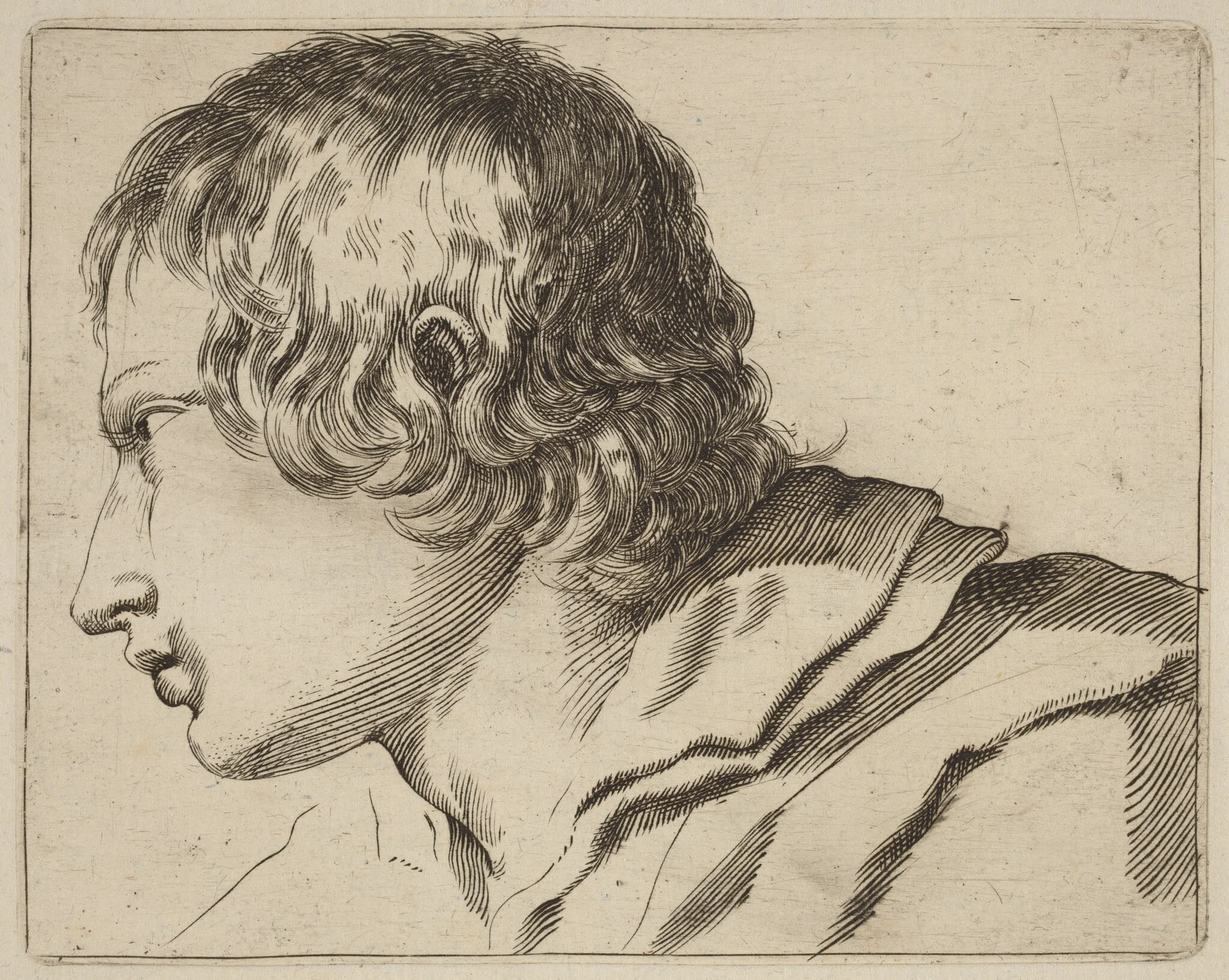 Head of a Man Turned Left, by Stefano Della Bella, ink, 1637